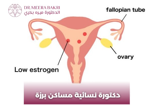 دكتورة نسائية في دمشق ميدان
