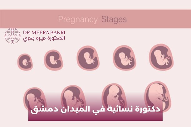 دكتورة نسائية في الميدان دمشق