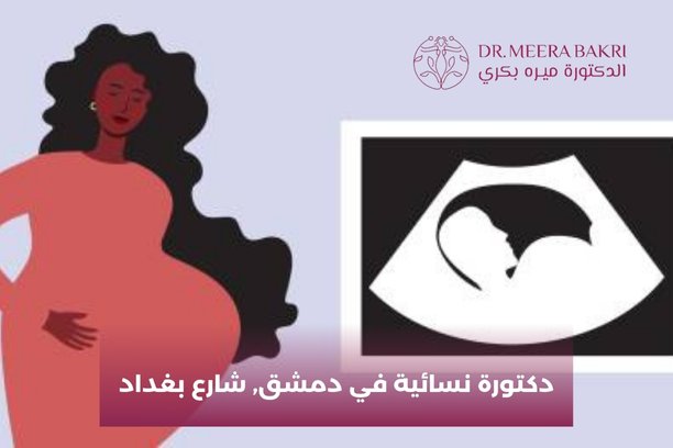 كيف يمكننا التواصل مع دكتورة نسائية في الزاهرة؟