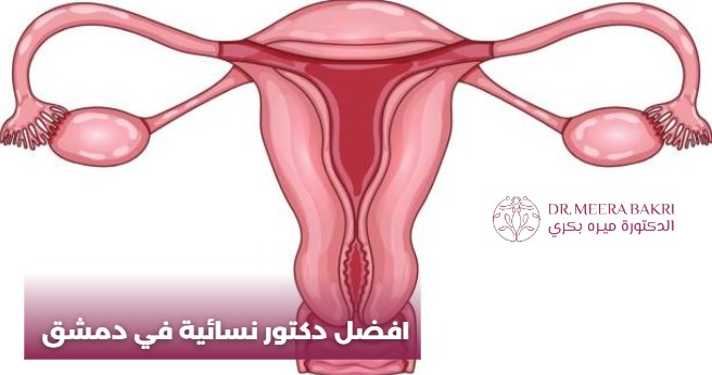 افضل دكتور نسائية في دمشق