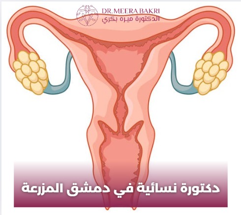 دكتور نسائية في دمشق