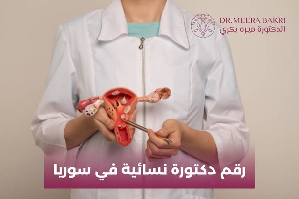 أين أجد رقم دكتورة نسائية في سوريا شاطرة؟ أين أجد رقم دكتورة نسائية في سوريا شاطرة؟