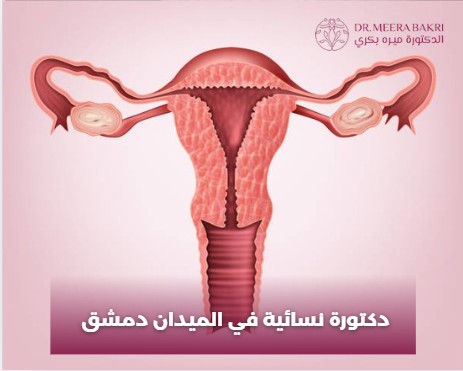 دكتور نسائية في دمشق