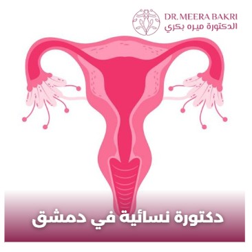 دكتورة نسائية في الزاهرة